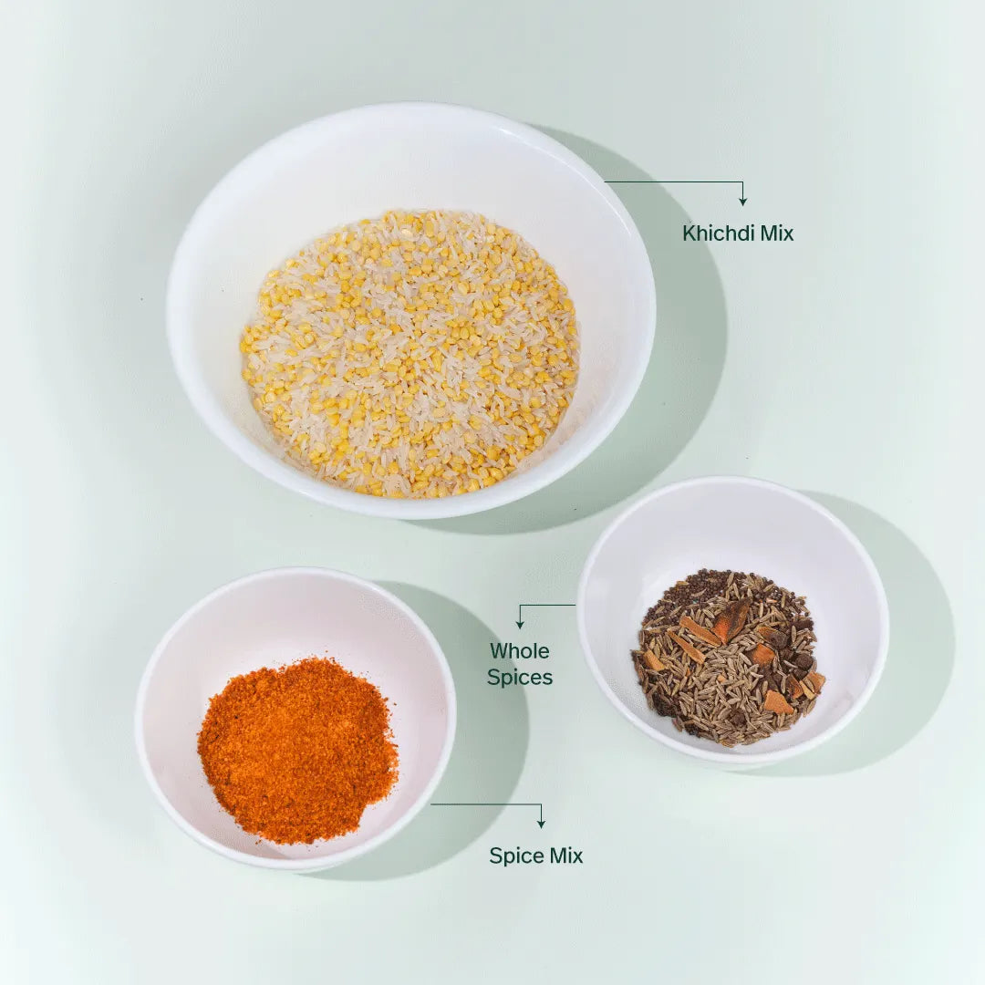 Masala Khichdi